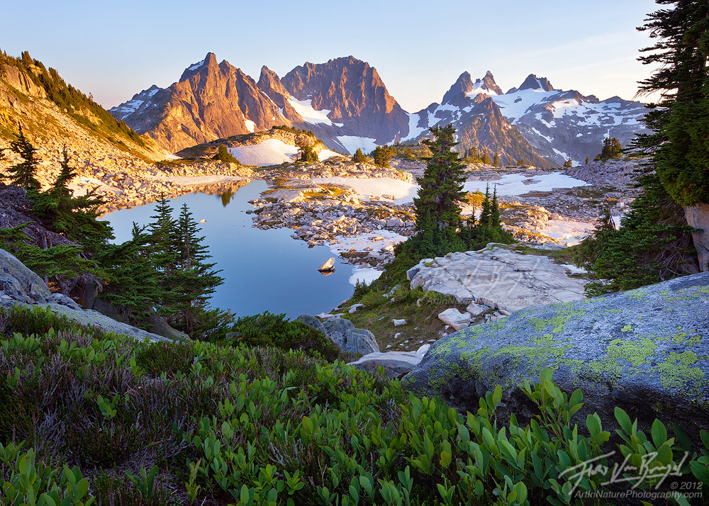 mountainous_vegetation_4.jpg