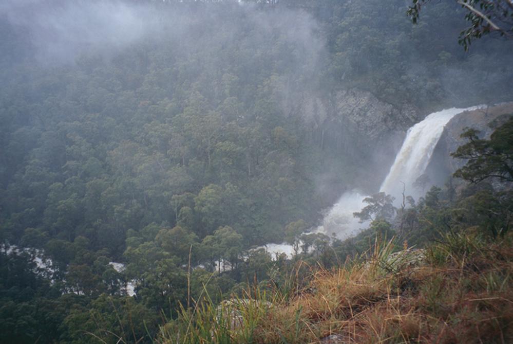 Image result for Roses  creek Dorrigo NP