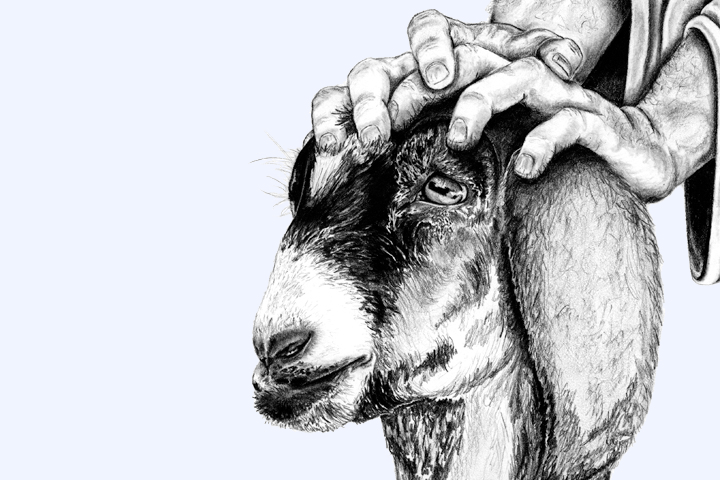 hands-on-scapegoat.png?w=720&ssl=1