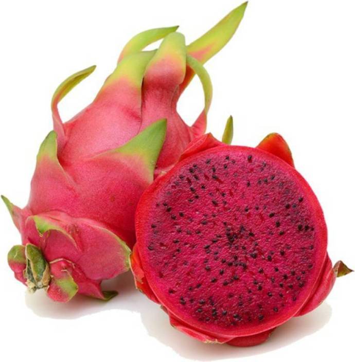 50-50pc-pitaya-red-dragon-fruit-seed-orchidwala-original-imafcqhpfnxmg4sg.jpeg?q=70