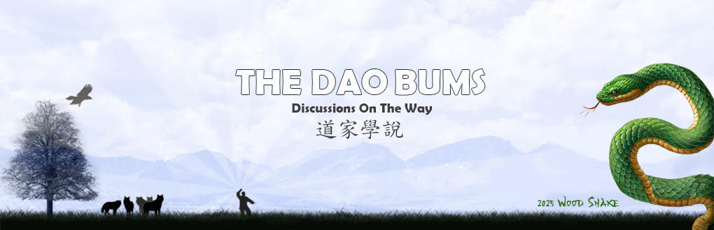 The Dao Bums